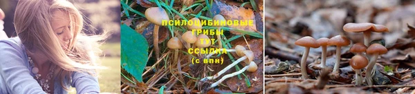 мет Беломорск